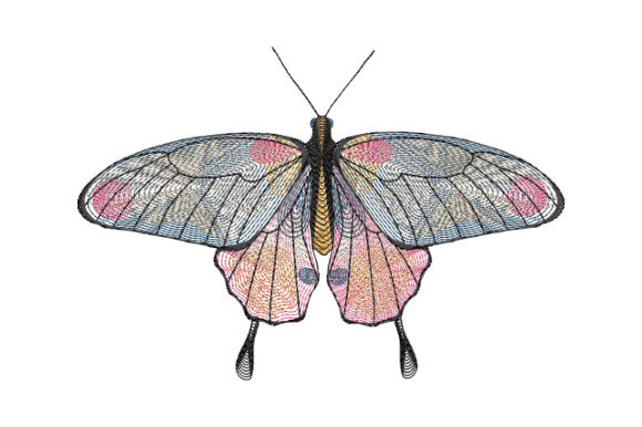 Review: Butterfly with Gray and Pink Wings Design