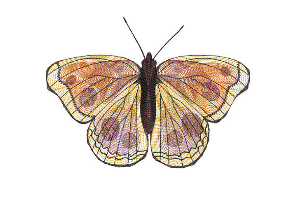 Yellow Butterfly with Burgundy Spots: A Pro Review